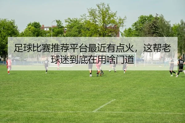 足球比赛推荐平台最近有点火，这帮老球迷到底在用啥门道