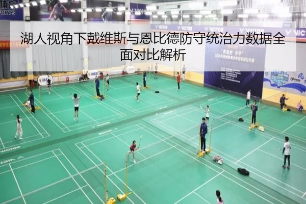 湖人视角下戴维斯与恩比德防守统治力数据全面对比解析